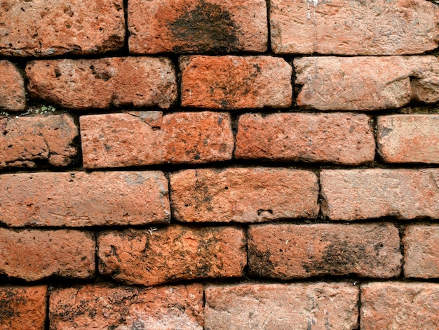 Strutture del fondo del muro di mattoni di lerciume