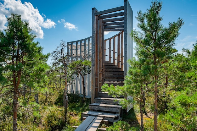 Strutture di osservazione all'interno di una Riserva Naturale. Il sentiero in legno conduce alla torre di osservazione tra i pini. Sentiero escursionistico Tuhu. Estonia.