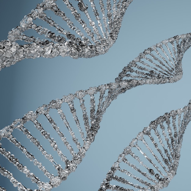 Strutture molecolari del DNA