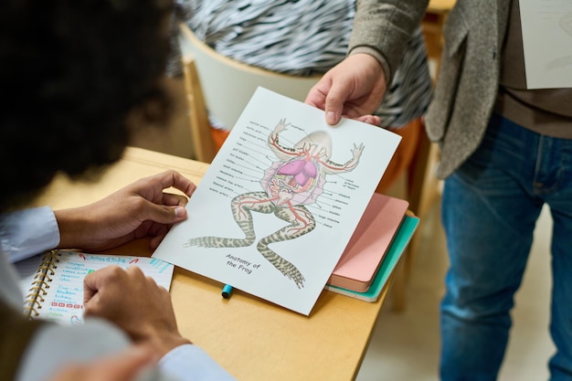 Studente afroamericano che prende carta di prova con schizzo di organi interni di rana