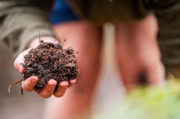 studente di scienze del suolo agricoltura che guarda un campione di suolo ragazza in una fattoria che guarda le radici delle piante