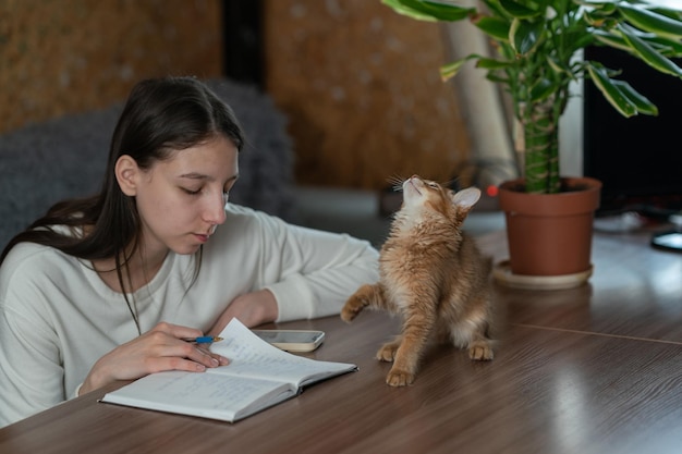 Studentessa che fa i compiti mentre è seduta al tavolo accanto al suo gattino