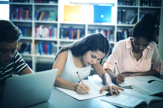 Studenti attenti che studiano in biblioteca