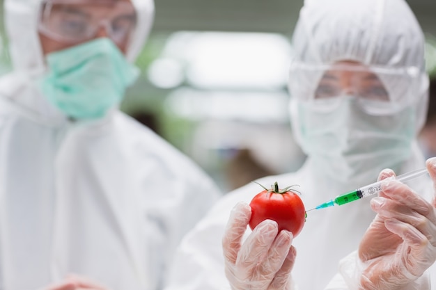 Studenti che fanno esperimenti con un pomodoro