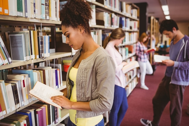 Studenti che leggono il libro contro scaffali