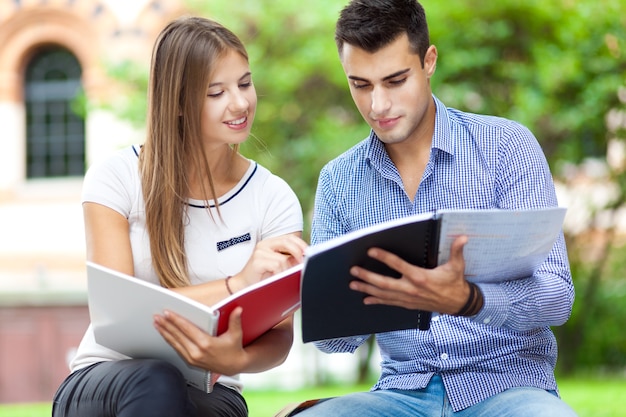 Studenti che studiano in un parco