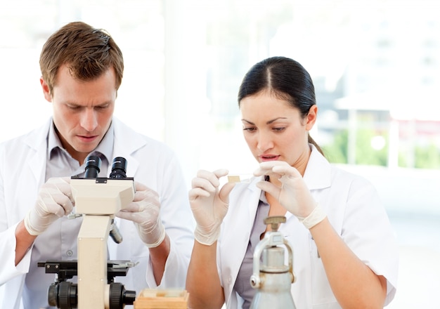 Studenti di scienze che lavorano in un laboratorio