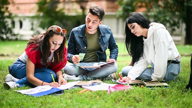 Studenti seduti sull'erba e studiano insieme al parco