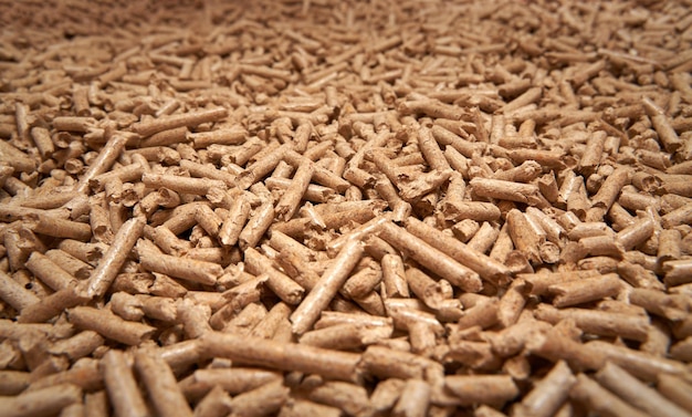 Stufa a pellet riempita con pellet di quercia Concetto di combustibile alternativo Riscaldamento domestico con energia ecologica rinnovabile