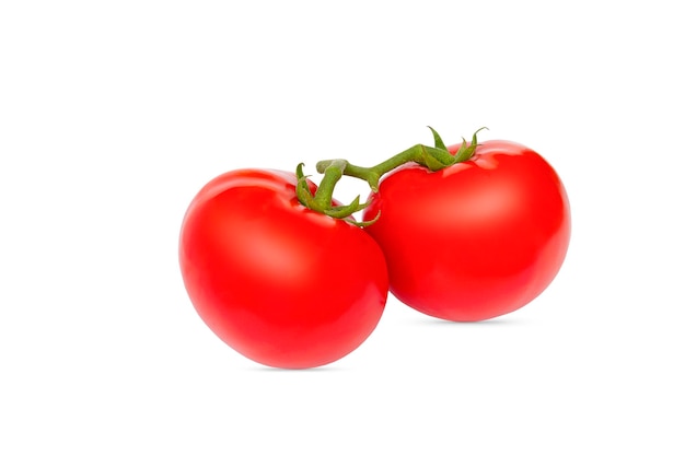 Su un ramo due pomodori maturi su sfondo bianco