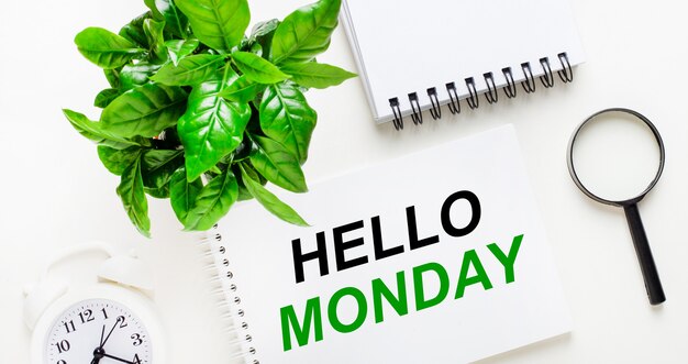 Su uno sfondo chiaro, c'è una sveglia bianca, una lente d'ingrandimento, una pianta verde e un quaderno con la scritta HELLO MONDAY.