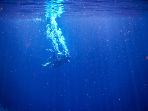 Subacquei nella laguna dell'acqua blu