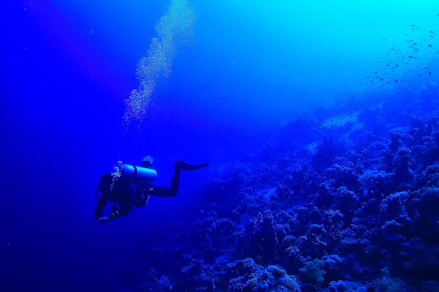 subacquei sott'acqua in profondità sullo sfondo blu del mare