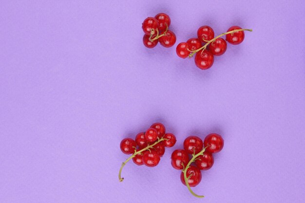 Succose bacche di ribes rosso dolce su sfondo rosa Concetto di cibo sano Primo piano di bacche dolci