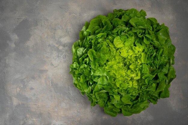 Succose foglie di lattuga isolate su sfondo grigio. Insalata di lollo fresca.