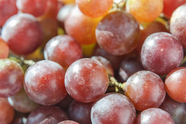 succosi acini d'uva al sole