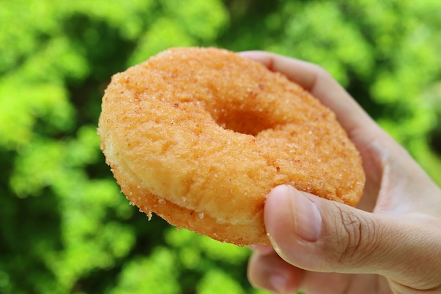 Sugar Cinnamon Donut a disposizione con fogliame verde confuso nel fondo