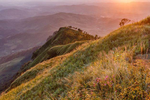 Sulla cima della montagna di Phu Lanka