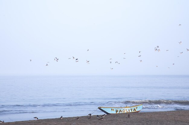 Sulla spiaggia c'è una barca con la scritta pacific.