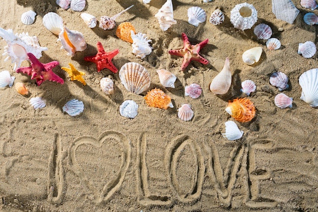 Sulla spiaggia di mare sabbiosa c'è un'iscrizione Io amo la spiaggia sabbiosa di una spiaggia marina piena di conchiglie abbandonate