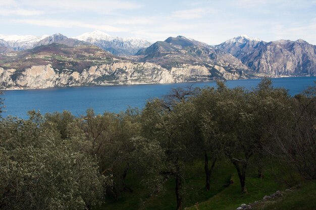 sullo sfondo c'è un ampio fiume di fronte a una catena di montagne in primo piano c' è un parco