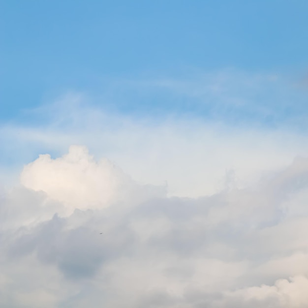 Sullo sfondo del cielo azzurro con soffici nuvole bianche