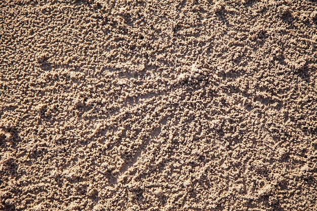 Sullo sfondo piccole tracce di granchi sulla spiaggia di sabbia.