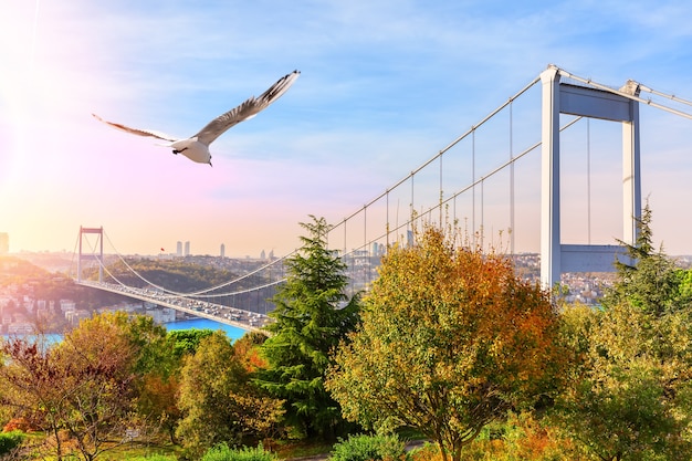 Sultan Fatih Mehmet Bridge, vista dal parco, Istanbul.