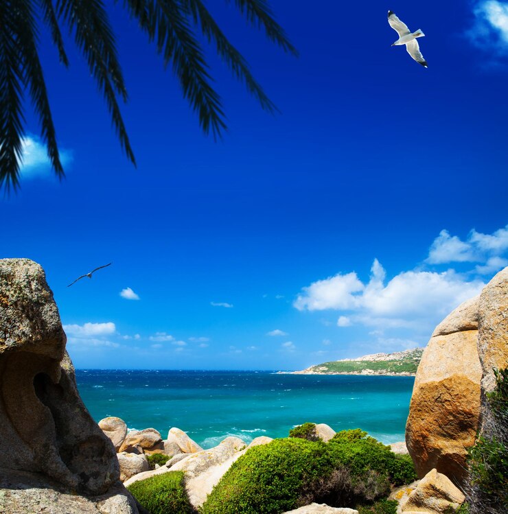 Photo summer sea