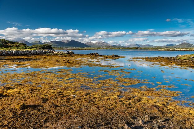 Sunny Connemara paesaggio in Irlanda Alghe brune sul mare e montagne sullo sfondo