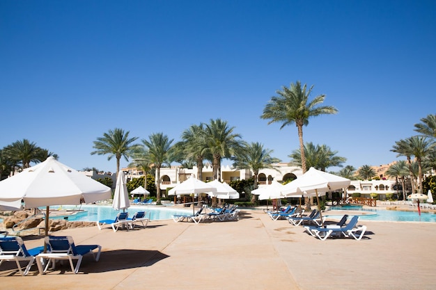 Sunny Resort Beach con palme sulla costa del Mar Rosso