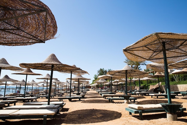 Sunny Resort Beach con palme sulla costa del Mar Rosso