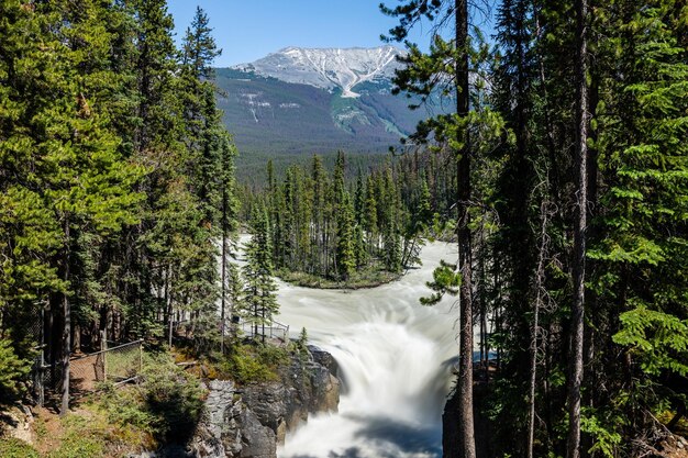 Sunwapta Falls Canadian Rockies bellissimo paesaggio naturale Jasper National Park bellissimo paesaggio