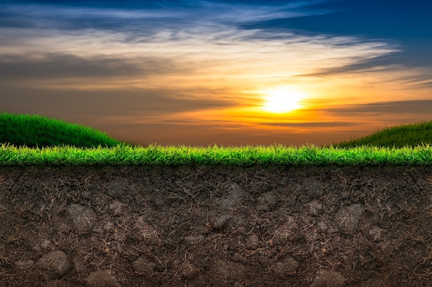 Suolo ed erba verde nel tramonto