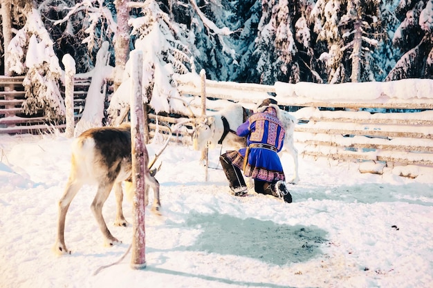 Suomi uomo e renna in Finlandia in Lapponia in inverno.