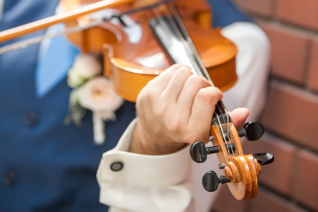 Suonare il violino. Strumento musicale con mani di esecutore