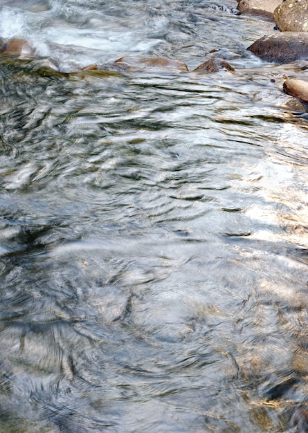 Superficie del fiume della sera della montagna con corrente rapida