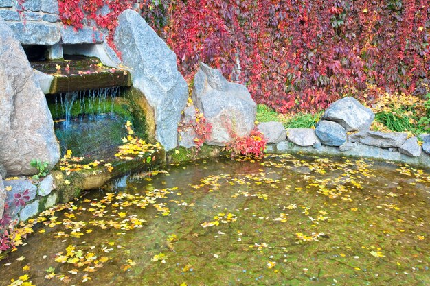 Superficie dell'acqua dello stagno con foglia ascissa e piccola cascata nel parco autunnale