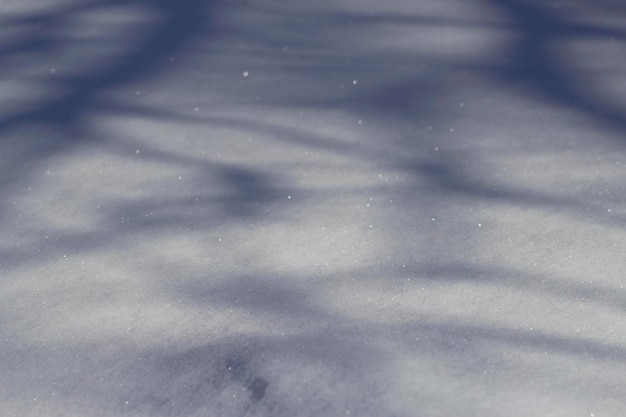 Superficie della neve con le ombre degli alberi