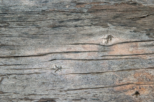 superficie di legno stagionato