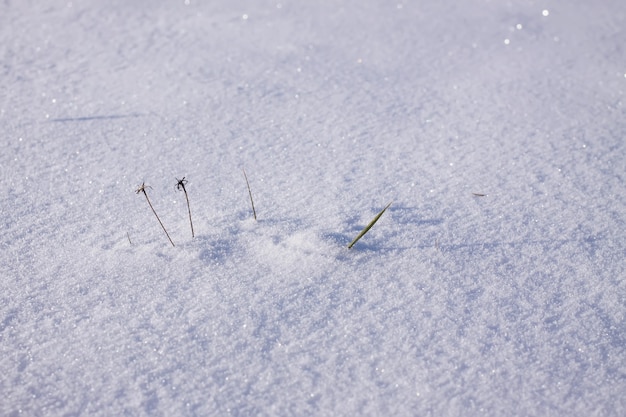 Superficie di neve fresca nella soleggiata giornata invernale.