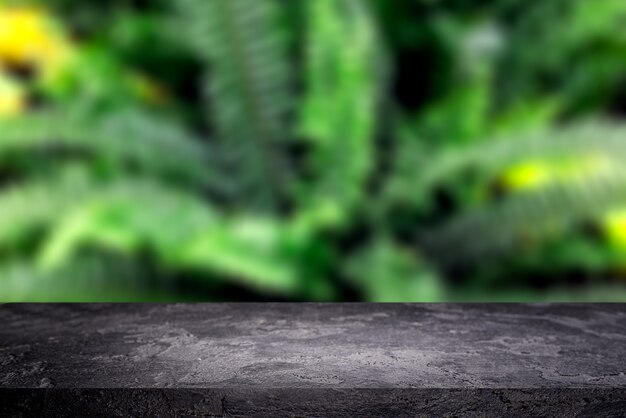 Superficie di pietra nera su sfondo di foglie verdi di palme