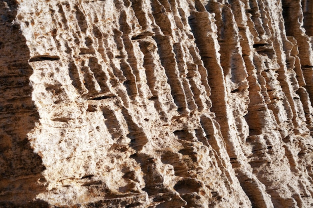 Superficie di roccia sabbiosa Riva rocciosa del Mar Caspio