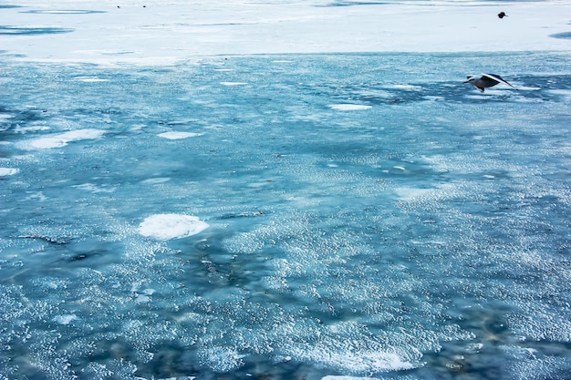 Superficie ghiacciata del fiume Tessura dei frammenti di ghiaccio e dell'acqua Sfondio invernale