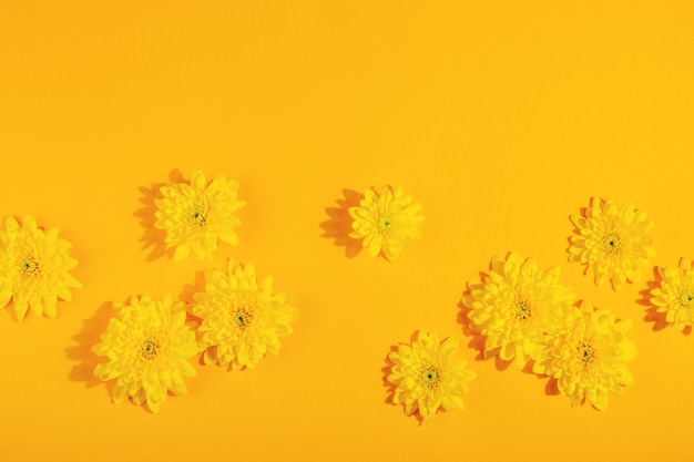 Superficie gialla con fiori di crisantemo su un layout di vista dall'alto di sfondo giallo brillante con spazio di copia