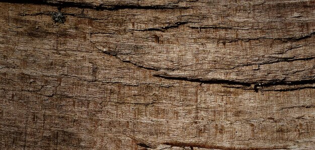 superficie in legno strutturata naturale