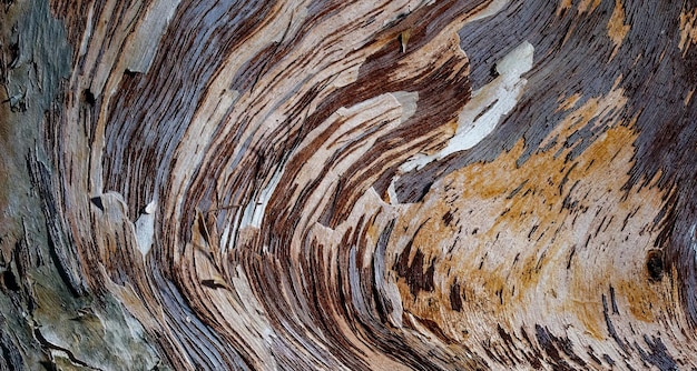 superficie in legno strutturata naturale