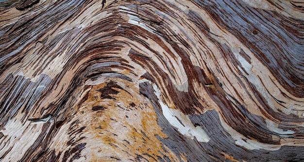 superficie in legno strutturata naturale