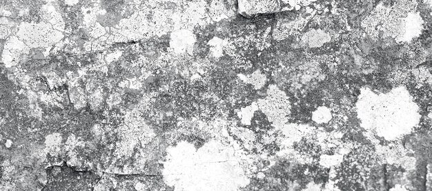Superficie in pietra arenaria bianca ruvida testurizzata Primo piano immagine di roccia naturale