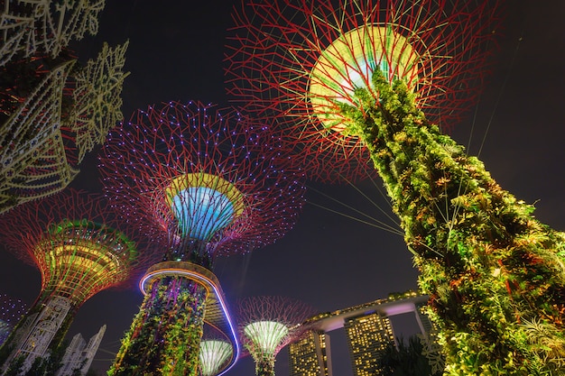 Supertrees at Gardens by the Bay. Le strutture ad albero sono montate